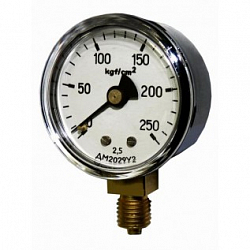 Изображение Манометр ДМ2029 Фото Манометр ДМ2029
