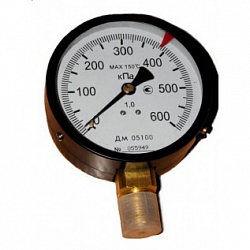 Изображение Манометр ДМ 05100 NH3 Фото Манометр ДМ 05100 NH3