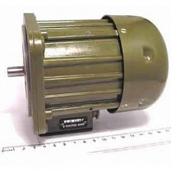 Фото Электродвигатель асинхронный ДАК8-300/400-3