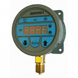 Изображение Манометр ДМ5001 Фото Манометр ДМ5001