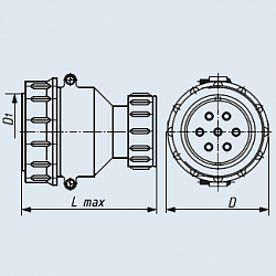 Фото СШР48П20ЭГ2 вилка