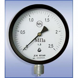 Изображение Манометр ДМ для аммиака Фото Манометр ДМ для аммиака
