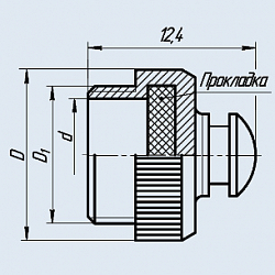 Фото ЭК-РС10 заглушка с цепочкой