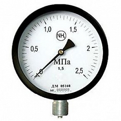 Изображение Манометр ДМ 05160 NH3 Фото Манометр ДМ 05160 NH3