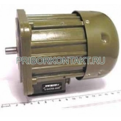 Фото Электродвигатель асинхронный ДАК8-300/400-3